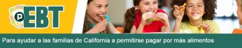 Pandemia EBT 2.0 banner que dice "Para ayudar a las familias de California a permitirse pagar por más alimentos"