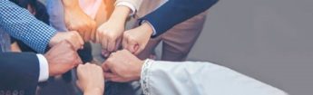 Los puños de siete profesionales se juntaron en un círculo que representa el trabajo en equipo.
